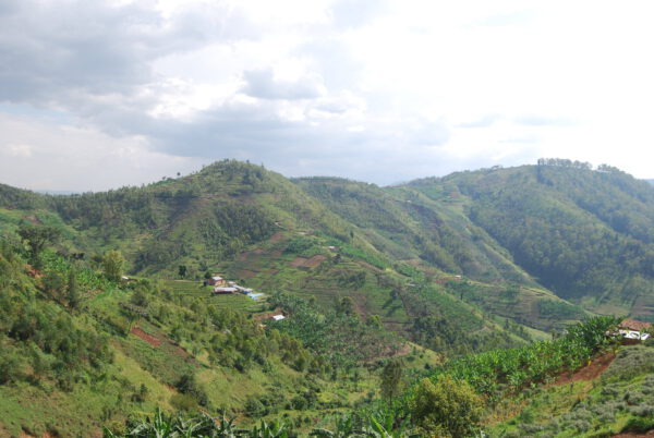 Rushashi - 250g (Rwanda) - Afbeelding 21