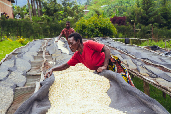 Rushashi - 250g (Rwanda) - Afbeelding 8