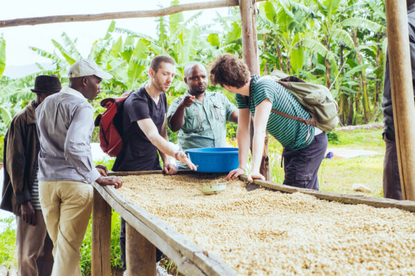 Rushashi - 250g (Rwanda) - Afbeelding 7