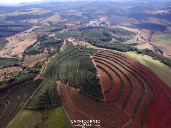 Brazilië Capricornio Fazenda California Single Estate double fermentation - Afbeelding 31