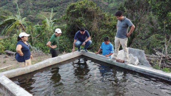 Peru Finca Churupampa La Lima microlot - Afbeelding 2