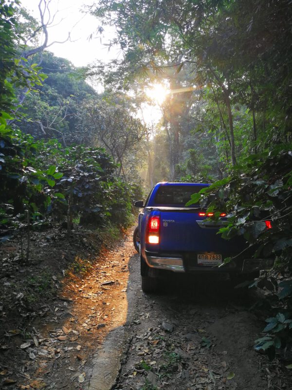 Thailand – Wiang Pa Pao - Afbeelding 4