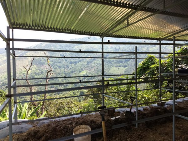 Peru Finca Churupampa La Lima microlot - Afbeelding 11