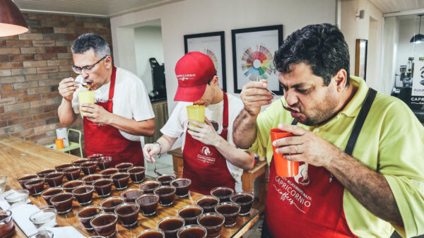 Brazilië Capricornio Piraju - Afbeelding 7
