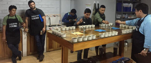 Peru Finca Churupampa La Lima microlot - Afbeelding 5